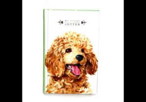 CUADERNO 10,5X16,5 64H CUADROS PERRITOS MODELOS SURTIDOS