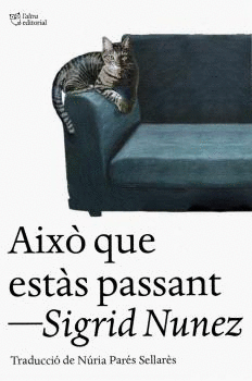 AIXÒ QUE ESTÀS PASSANT